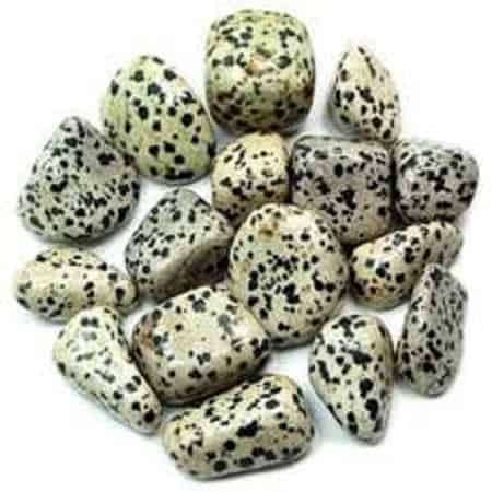 Dalmatian Jasper energy stone