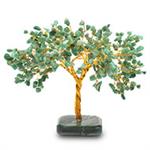 Green Jade Tree