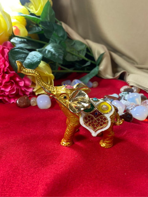 Elephant Trinket Boxes 14