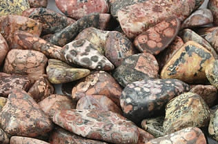 Leopard Skin Jasper energy stone